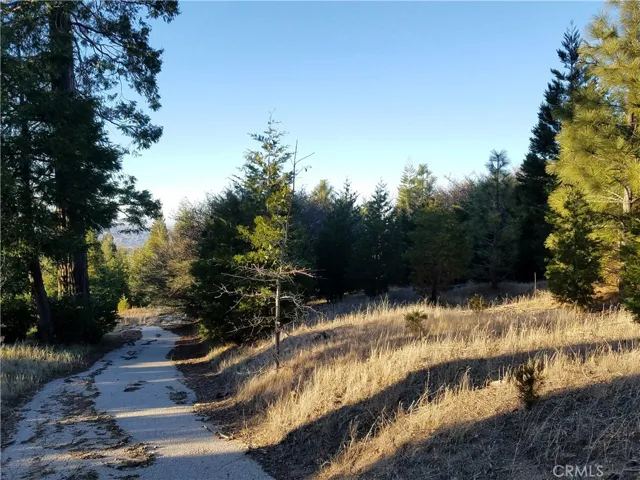 21650 Ballenger Road, Cedarpines Park, California 92322