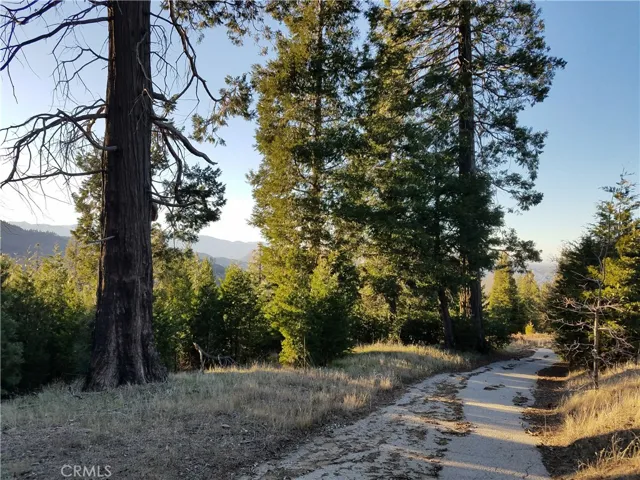 21650 Ballenger Road, Cedarpines Park, California 92322