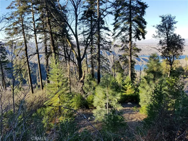 21650 Ballenger Road, Cedarpines Park, California 92322