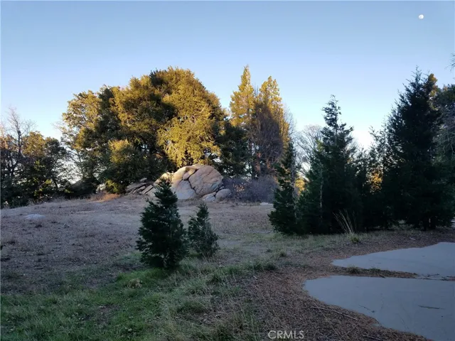 21650 Ballenger Road, Cedarpines Park, California 92322