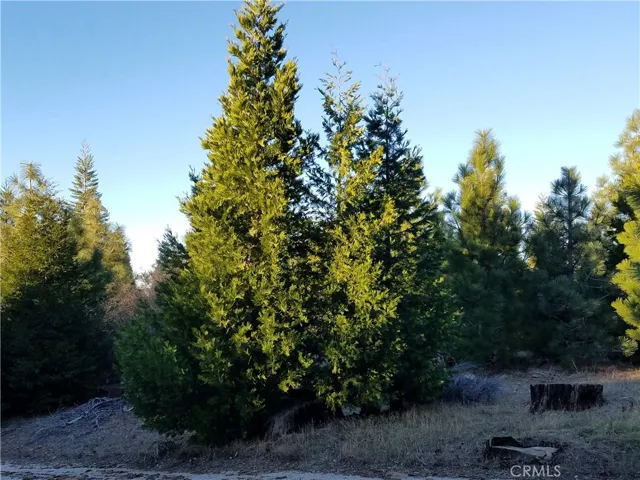 21650 Ballenger Road, Cedarpines Park, California 92322
