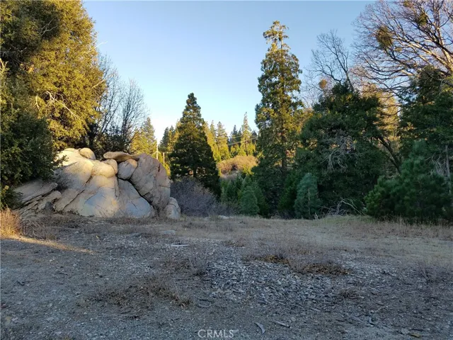 21650 Ballenger Road, Cedarpines Park, California 92322