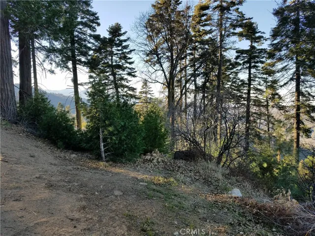 21650 Ballenger Road, Cedarpines Park, California 92322
