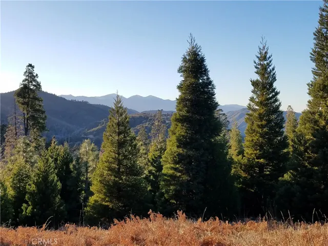 21650 Ballenger Road, Cedarpines Park, California 92322