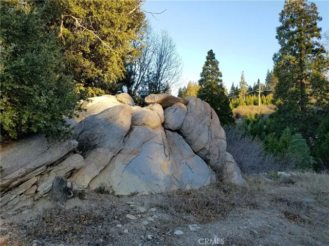 21650 Ballenger Road, Cedarpines Park, California 92322