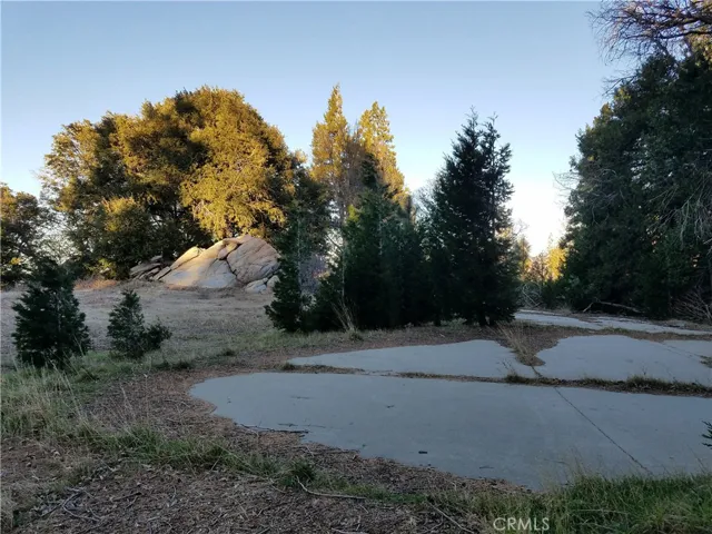 21650 Ballenger Road, Cedarpines Park, California 92322