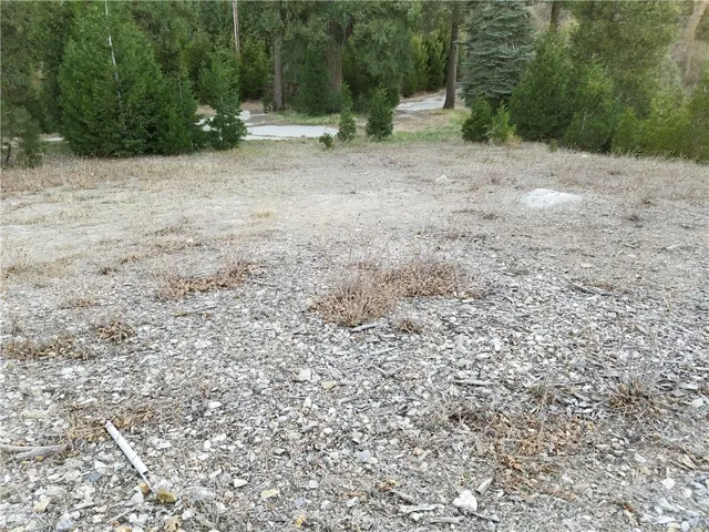 21650 Ballenger Road, Cedarpines Park, California 92322