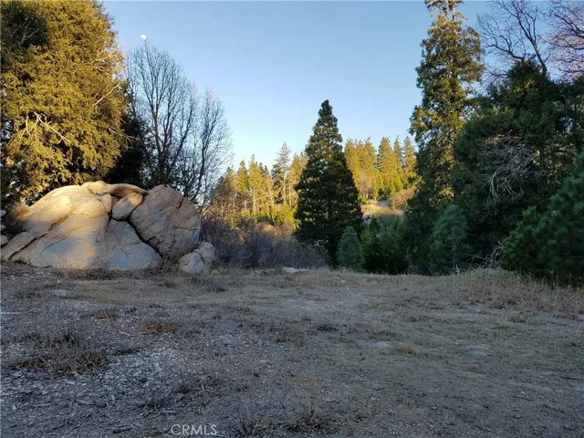 21650 Ballenger Road, Cedarpines Park, California 92322