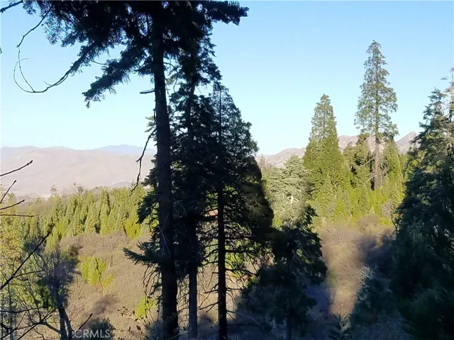 21650 Ballenger Road, Cedarpines Park, California 92322