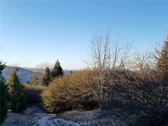 21650 Ballenger Road, Cedarpines Park, California 92322