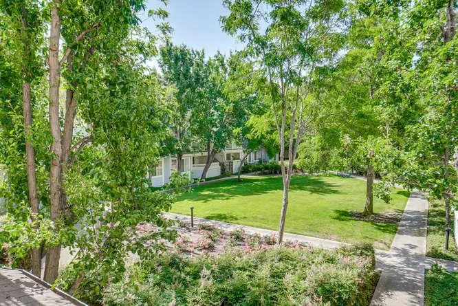 608 Arcadia Terrace 204, Sunnyvale, California 94085