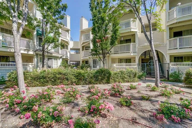 608 Arcadia Terrace 204, Sunnyvale, California 94085