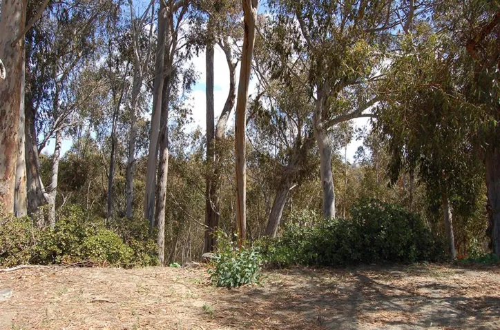 2605 Drive, Carlsbad, California 92008