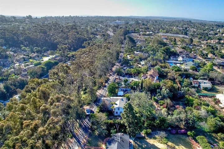 East side of street lined with mature eucalyptus trees.
