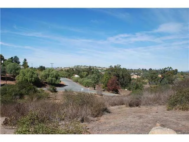 1511 Via Del Corvo, San Marcos, California 92078