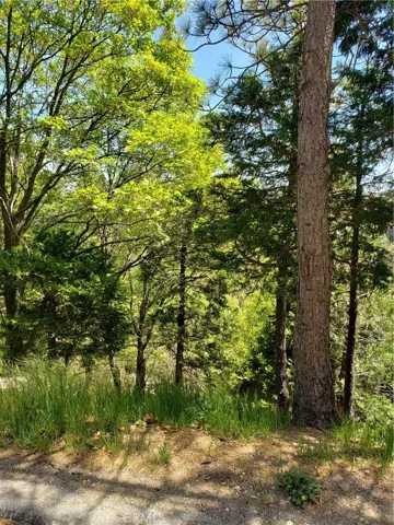 249 Old Toll Road, Lake Arrowhead, California 92352