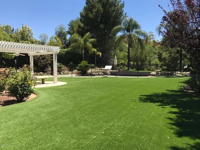 Large grass yard