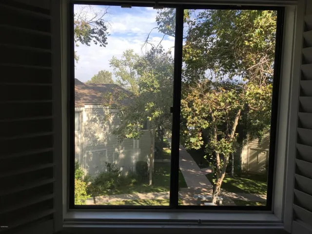 Window views