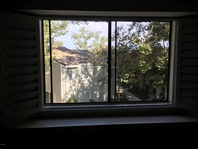 Window views