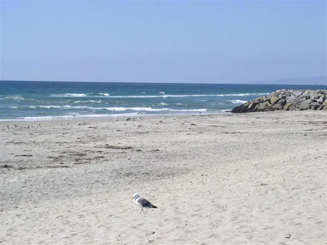 7380 Portage Way, Carlsbad, California 92011