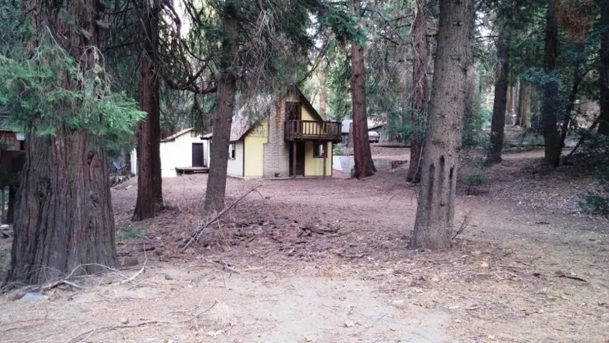 32817 Birch Hill, Palomar Mountain, California 92060