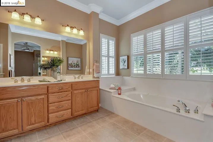 Master Bathroom with Jacuzzi Tub
