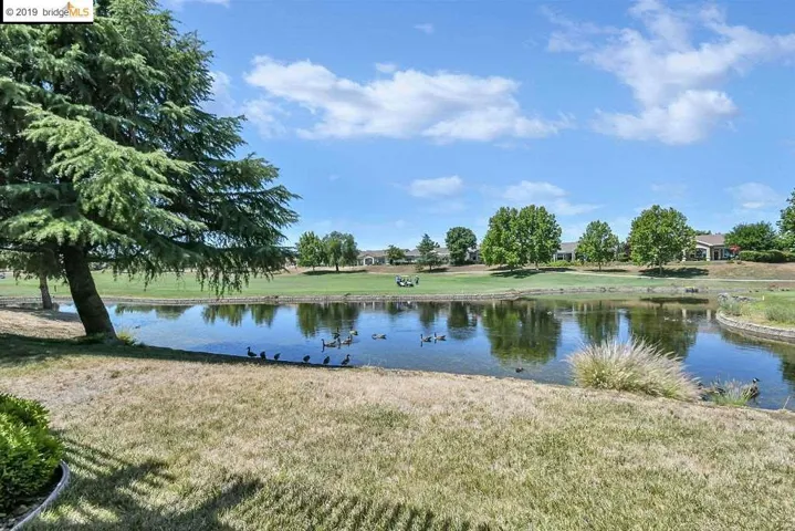 Views of Pond
