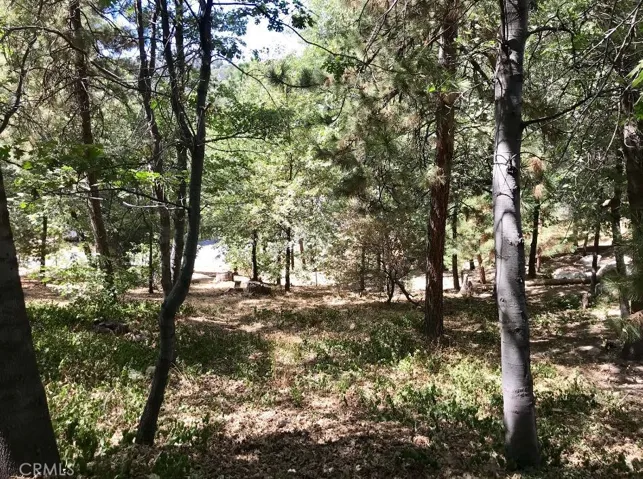 0 North Bay Road, Lake Arrowhead, California None
