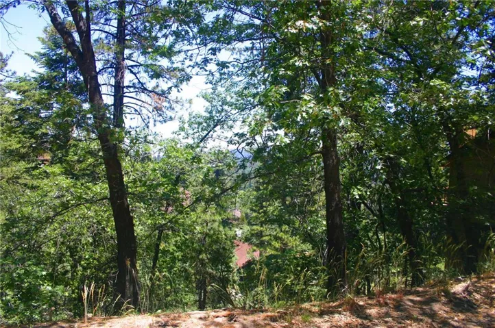 0 Spyglass Drive, Lake Arrowhead, California 92352