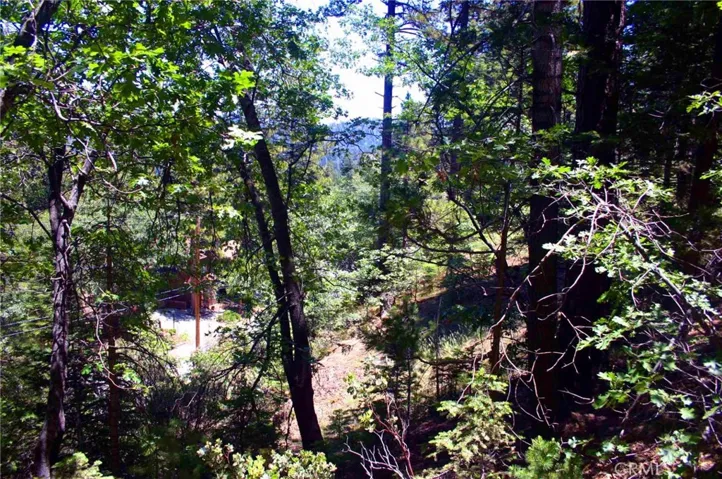 0 Spyglass Drive, Lake Arrowhead, California 92352