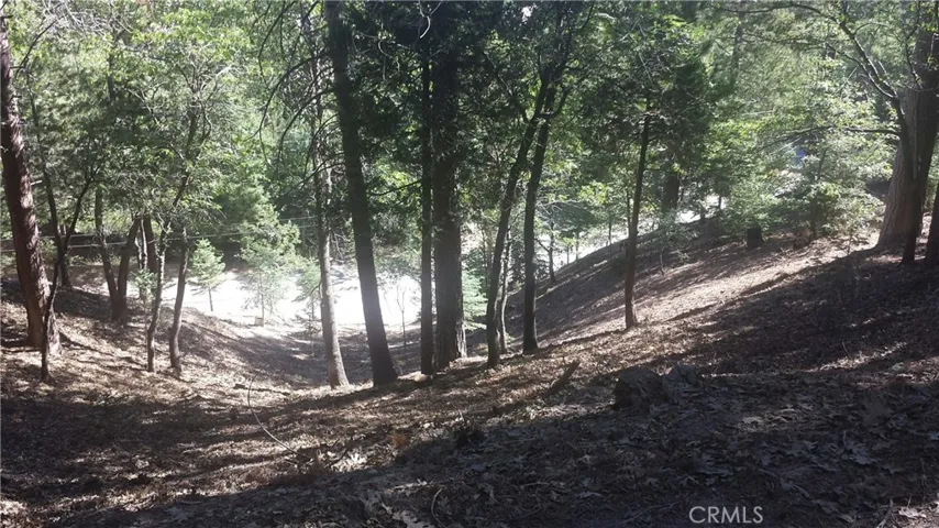 0 Spyglass Drive, Lake Arrowhead, California 92352