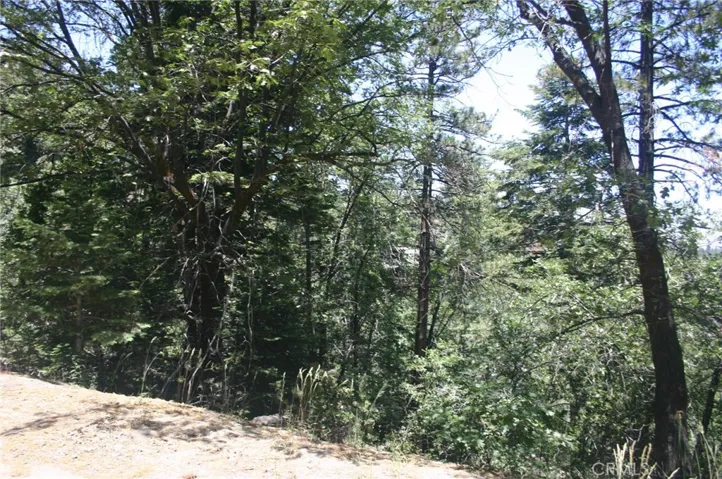 0 Spyglass Drive, Lake Arrowhead, California 92352