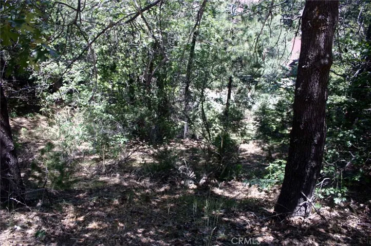0 Spyglass Drive, Lake Arrowhead, California 92352