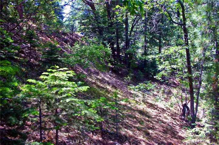 0 Spyglass Drive, Lake Arrowhead, California 92352