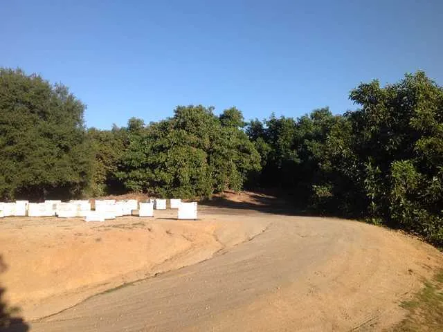14097 Pauma Vista Drive, Valley Center, California 92082