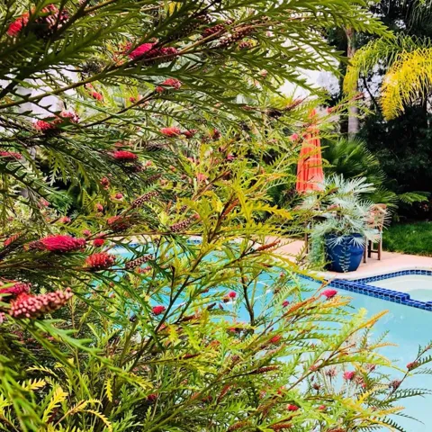 1175 Solana Drive, Mountain View, California 94040