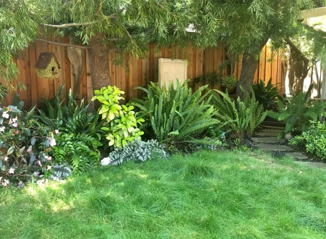 1175 Solana Drive, Mountain View, California 94040