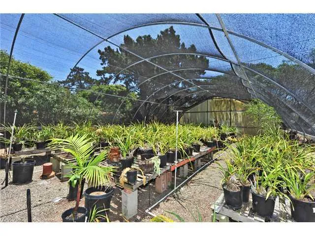 Inside one of the Greenhouses