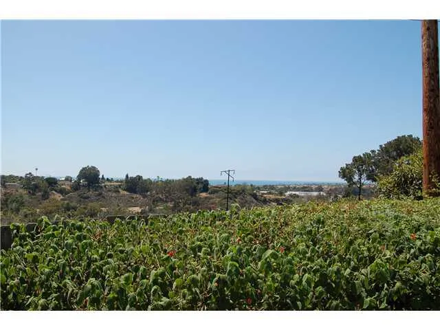 1670 Leora Lane, Encinitas, California 92024