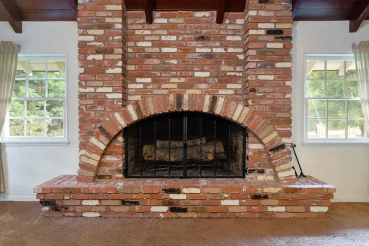 24445 Arcadia Fireplace