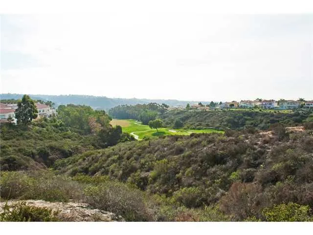 Golf course views