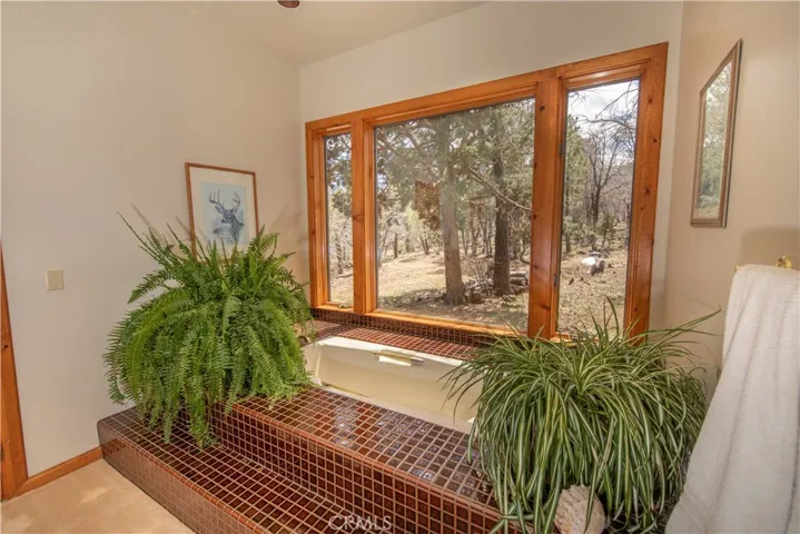 895 Needles Lane, Big Bear, California 92314