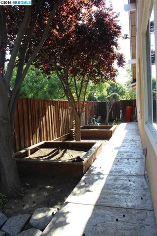 240 Continente Ave, Brentwood, California 94513