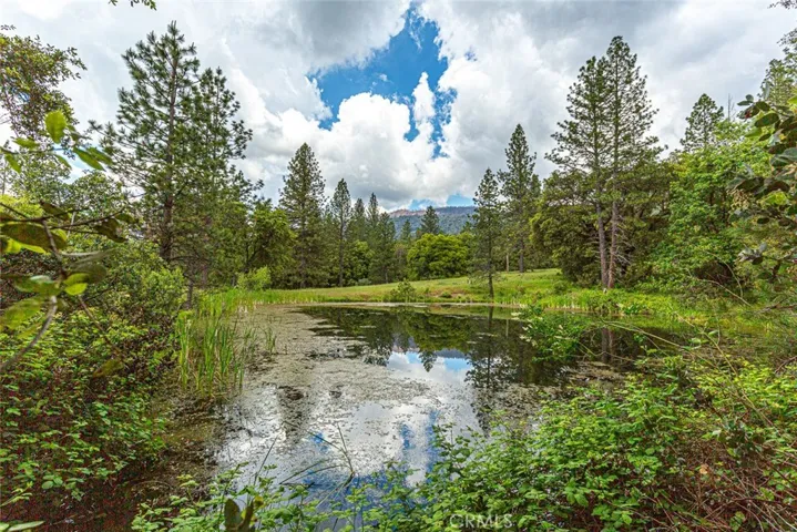 3033 E East Westfall Road, Mariposa, California 95338