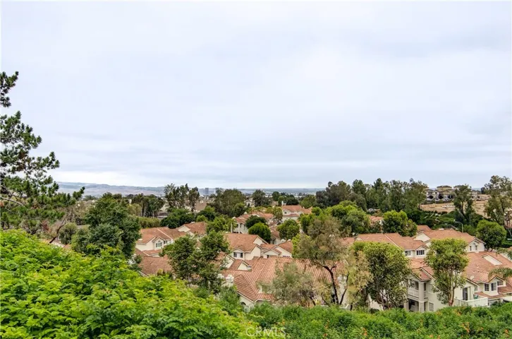 Over the treetops and rooftops, Views to Irvine Spectrum appear.