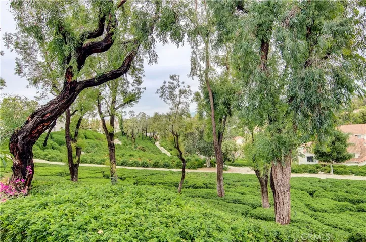 Nature is all around you in this private location.