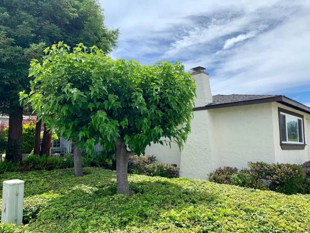 275 Chico Avenue, Santa Cruz, California 95060