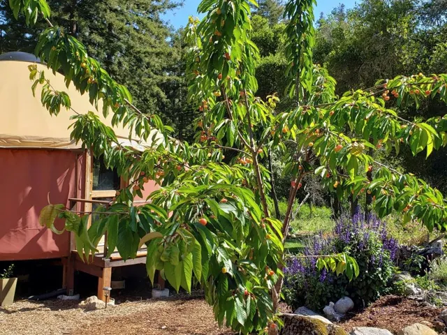 7164 Redwood Retreat Road, Gilroy, California 95020