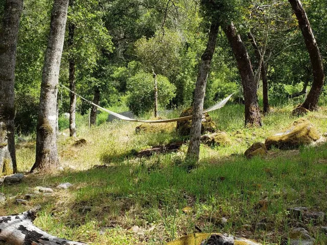 7164 Redwood Retreat Road, Gilroy, California 95020