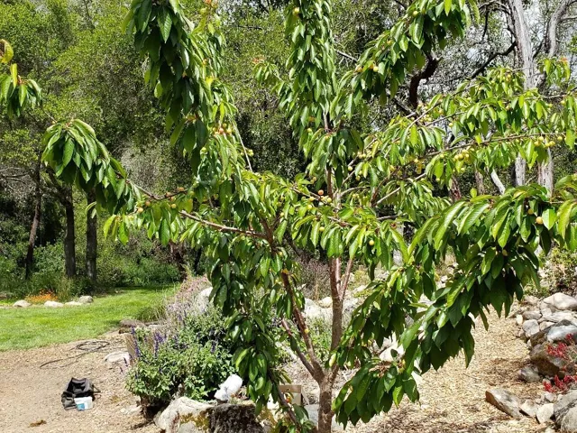 7164 Redwood Retreat Road, Gilroy, California 95020